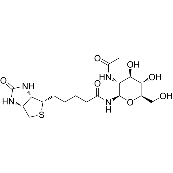 N-GlcNAc-Biotin 1272755-69-7